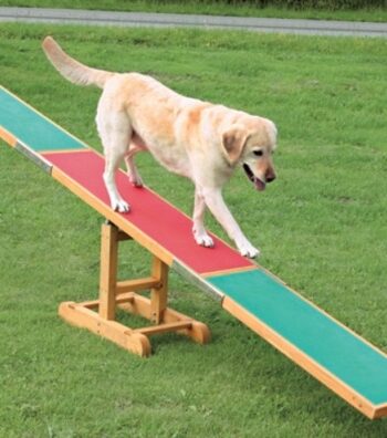 Agility Vippe L300   B34   H54 Cm
