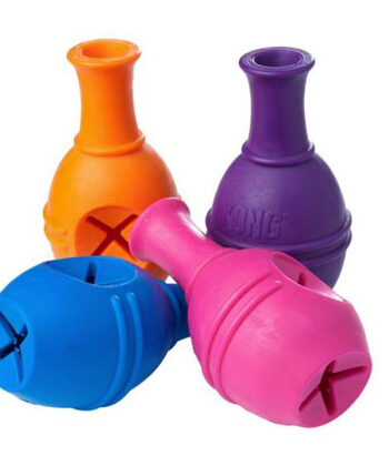 Aktiviteslegetøj Kong Genius  Leo   Ass  Farver    Str