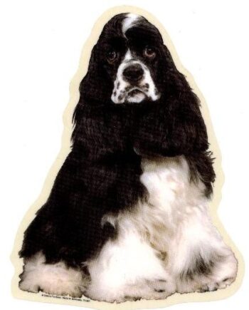Amerikansk Cocker Spaniel  Sort Hvid  Fr Vælg: Klistermærke  Nøglering  Broche  Slipsenål  Mm