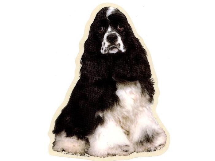 Amerikansk Cocker Spaniel  Sort Hvid  Fr Vælg: Klistermærke  Nøglering  Broche  Slipsenål  Mm