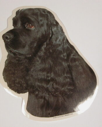 Amerikansk Cocker Spaniel  Sort  Vælg: Klistermærke  Nøglering  Broche  Slipsenål  Mm