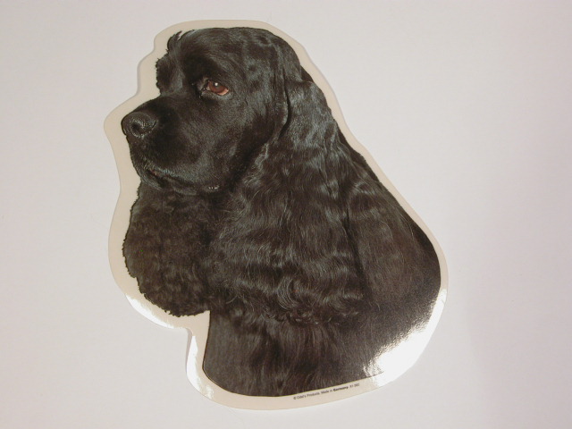 Amerikansk Cocker Spaniel  Sort  Vælg: Klistermærke  Nøglering  Broche  Slipsenål  Mm