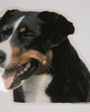 Appenzeller Sennenhund  Hv  Vælg: Klistermærke  Nøglering  Broche  Slipsenål  Mm