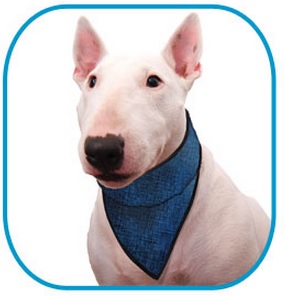 Aqua Coolkeeper Cooling Bandana   Kølebandana  Kan Variere   Nuance Mønster