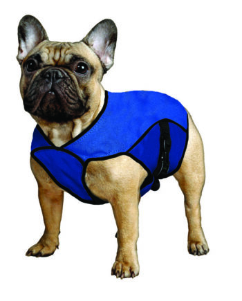 Aqua Coolkeeper Cooling Pet Jacket   Køledækken  Kan Variere   Nuance Mønster