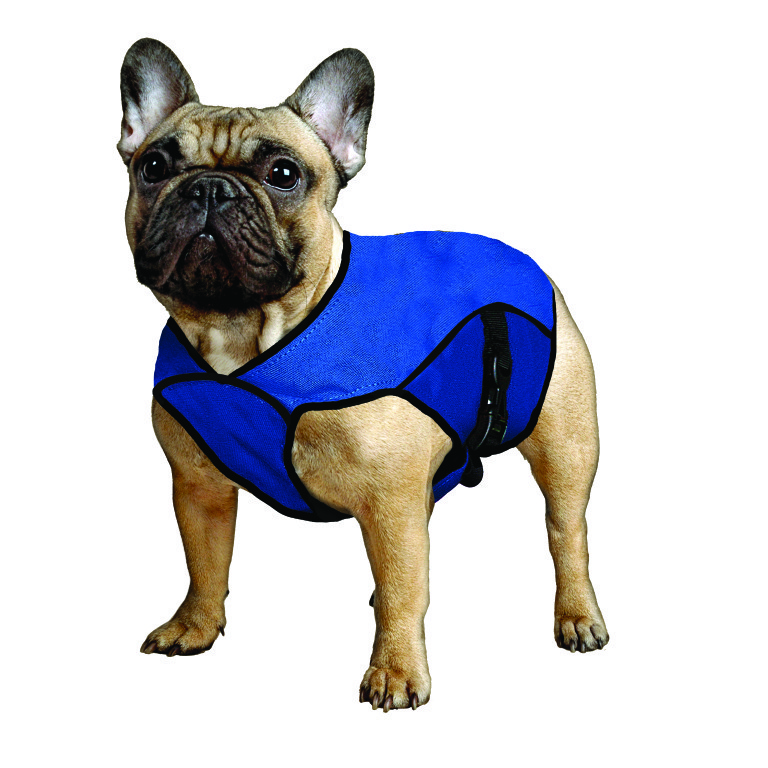 Aqua Coolkeeper Cooling Pet Jacket Køledækken Kan Variere Nuance Mønster