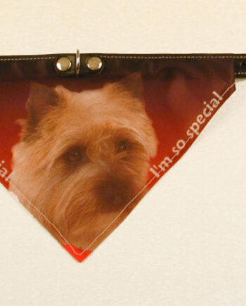 Bandana Halsbånd Med Motiv Af Cairn Terrier