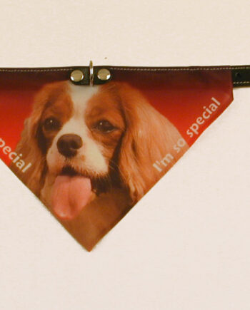 Bandana Halsbånd Med Motiv Af  Cavalier King Charles Spaniel Flere Varianter