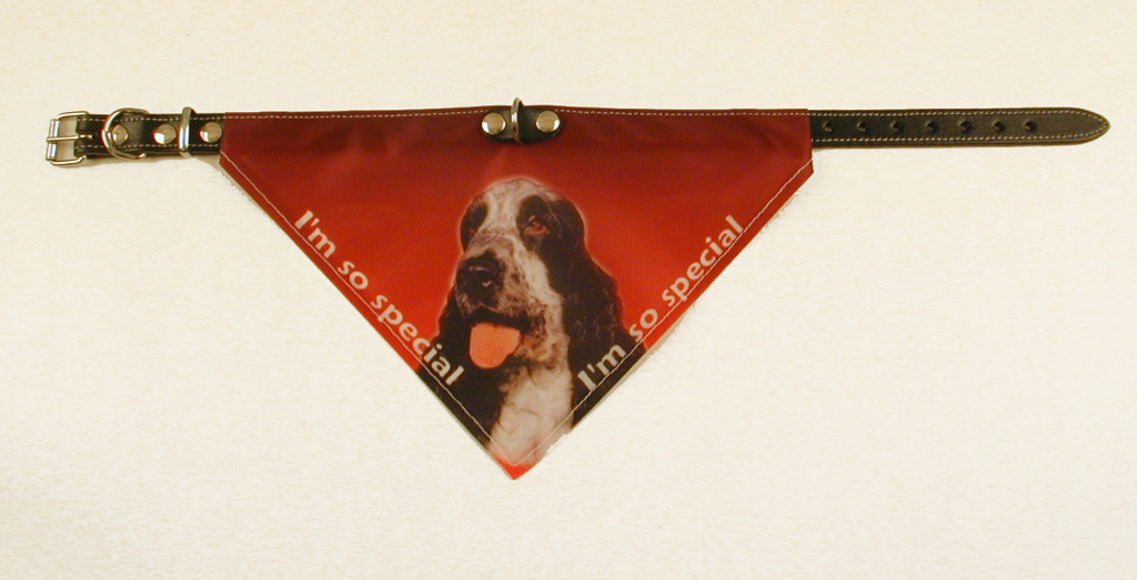 Bandana Halsbånd Med Motiv Af Cocker Spaniel