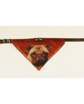 Bandana Halsbånd Med Motiv Af Mops
