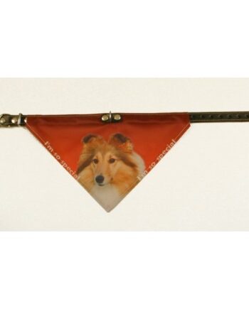 Bandana Halsbånd Med Motiv Af Shetland Sheppdog