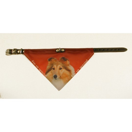 Bandana Halsbånd Med Motiv Af Shetland Sheppdog