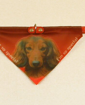 Bandana Hundehalsbånd Med Motiv Af Gravhund    Varianter