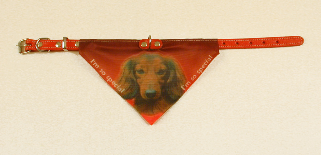 Bandana Hundehalsbånd Med Motiv Af Gravhund Varianter