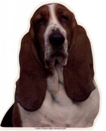 Basset Hound  Vælg: Klistermærke  Nøglering  Broche  Slipsenål  Mm