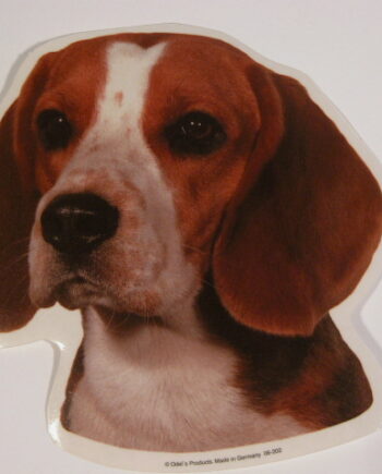 Beagle  Hv  Vælg: Klistermærke  Nøglering  Broche  Slipsenål  Mm