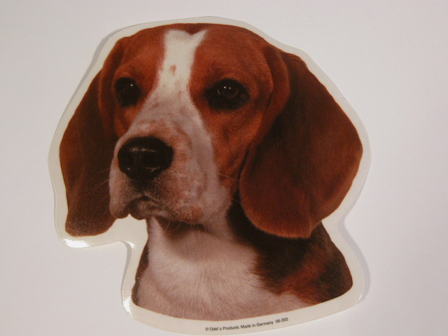 Beagle Hv Vælg: Klistermærke Nøglering Broche Slipsenål Mm