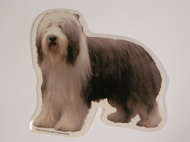 Bearded Collie St Vælg: Klistermærke Nøglering Broche Slipsenål Mm