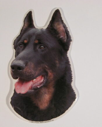 Beauceron  Quot Berger De La Beauce Quot  Hv  Vælg: Klistermærke  Nøglering  Broche  Slipsenål  Mm