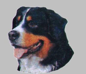 Berner Sennenhund  Hv  Vælg: Klistermærke  Nøglering  Broche  Slipsenål  Mm