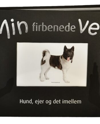 Bog  Quot Min Firbenede Ven Quot  Hund  Ejer Og Det Imellem