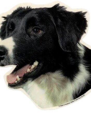 Border Collie  Hv  Vælg: Klistermærke  Nøglering  Broche  Slipsenål  Mm