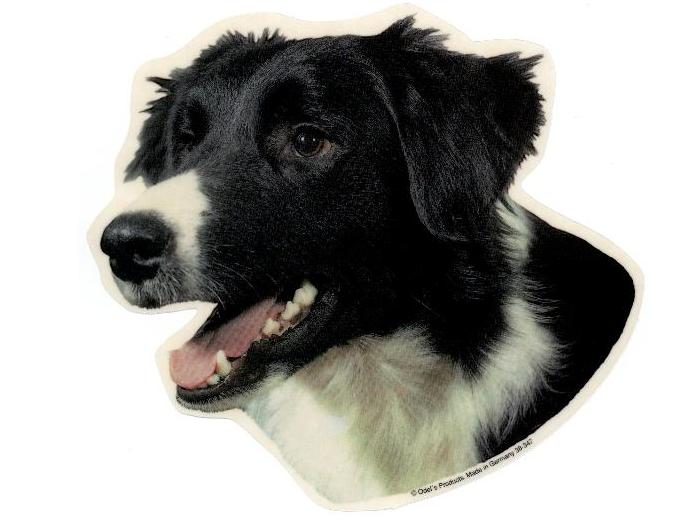 Border Collie Hv Vælg: Klistermærke Nøglering Broche Slipsenål Mm