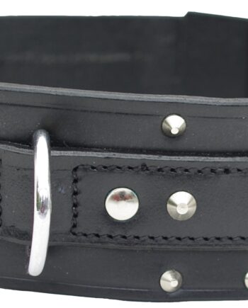 Bull Terrier Læderhalsbånd  Sort Med Nitter