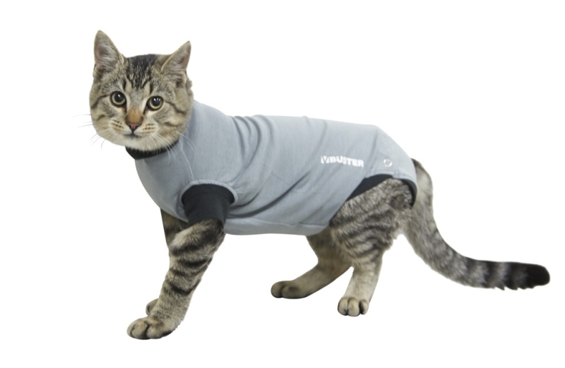 Buster Body Suit Til Katte Quot Recover Overall Quot