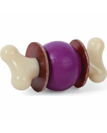 Busy Buddy Bouncy Bone