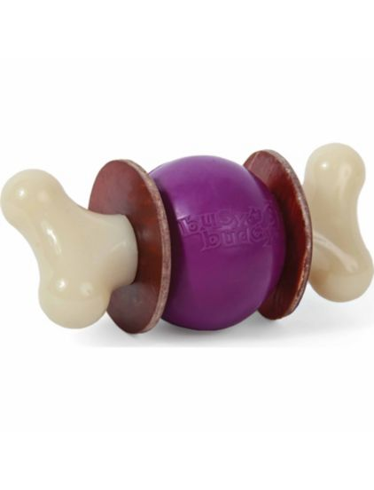 Busy Buddy Bouncy Bone