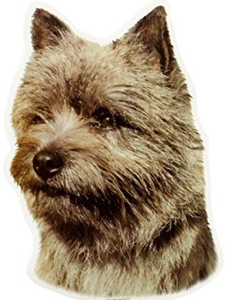 Cairn Terrier  Brun  Hv  Vælg: Klistermærke  Nøglering  Mm