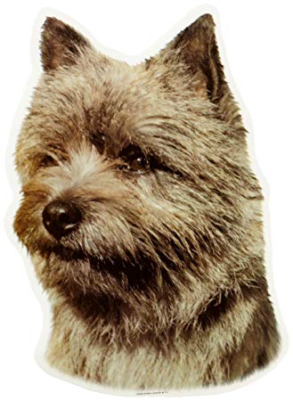 Cairn Terrier Brun Hv Vælg: Klistermærke Nøglering Mm