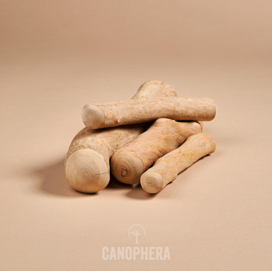 Canophera Kaffetræ Tyggepind