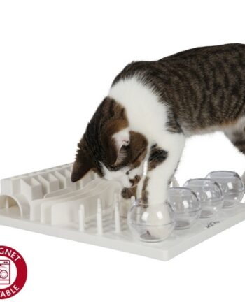 Cat Activity Fun Board