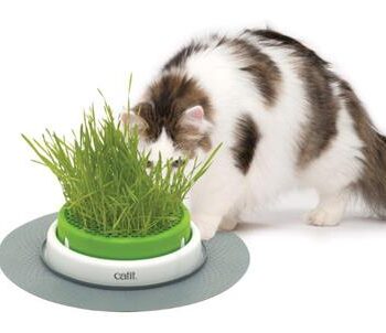 Catit Senses     Grass Garden Kit   Græsdispenser