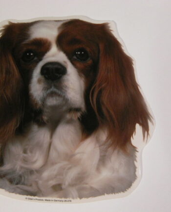 Cavalier King Charles Spaniel  Rød Brun  Hv  Vælg: Klistermærke  Nøglering  Broche  Slipsenål  Mm