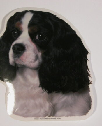 Cavalier King Charles Spaniel  Sort  Hv  Vælg: Klistermærke  Nøglering  Broche  Slipsenål  Mm