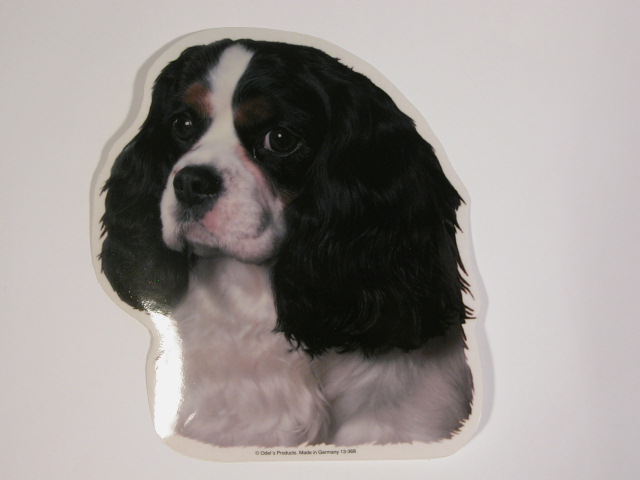 Cavalier King Charles Spaniel  Sort  Hv  Vælg: Klistermærke  Nøglering  Broche  Slipsenål  Mm