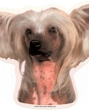 Chinese Crested  Vælg: Klistermærke  Nøglering  Mm