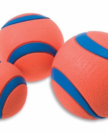 Chuckit Ultra Ball   Bold