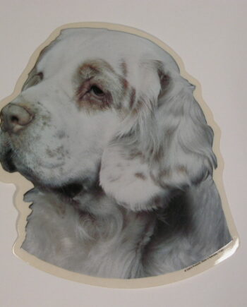 Clumber Spaniel  Hv  Vælg: Klistermærke  Nøglering  Broche  Slipsenål  Mm