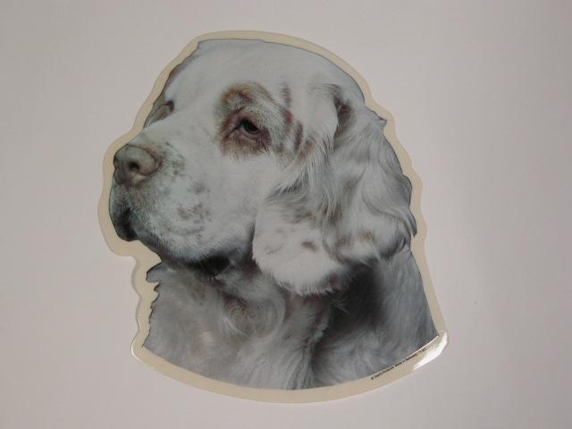 Clumber Spaniel Hv Vælg: Klistermærke Nøglering Broche Slipsenål Mm