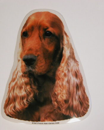 Cocker Spaniel  Rød  Hv  Vælg: Klistermærke  Nøglering  Mm