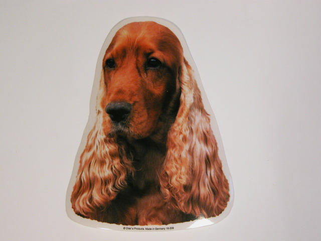 Cocker Spaniel Rød Hv Vælg: Klistermærke Nøglering Mm