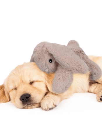 Cozy Dog Bunny    Hjertelyd Og Varme Pose