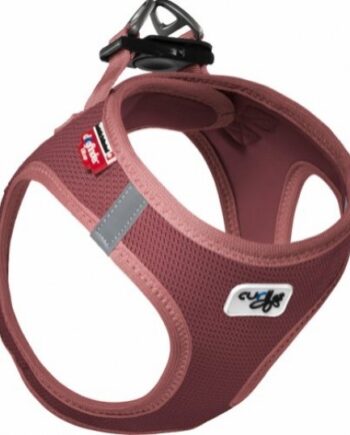 Curli Air Mesh  Special Edition 2020