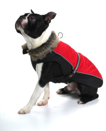 Dog Gone Smart Aspen Vinterjakke