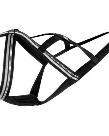 Dog Harness Nome Active