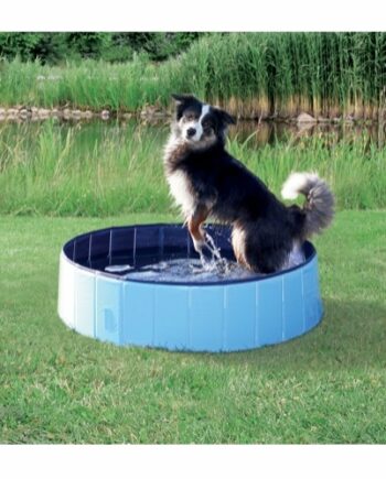 Dog Pool   Hunde Bassin
